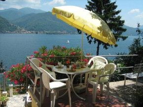 Bild Lago Maggiore
